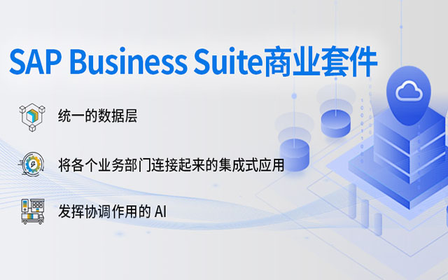 SAP Business Suite,SAP產(chǎn)品,SAP ERP應(yīng)用,SAP軟件,SAP Business Suite產(chǎn)品套件,SAP Business Suite新產(chǎn)品2025