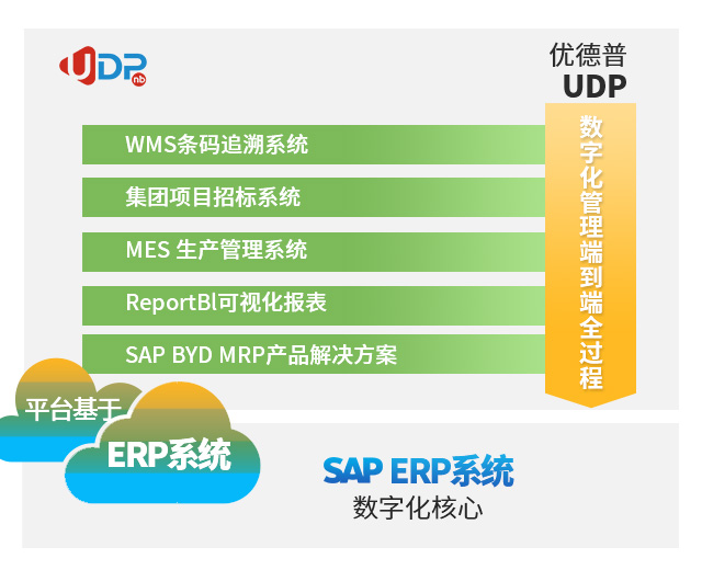 SAP實施商,SAP項目實施,sap實施公司,國內sap實施公司排名,國內比較好的sap實施公司,優(yōu)德普,好的sap實施商